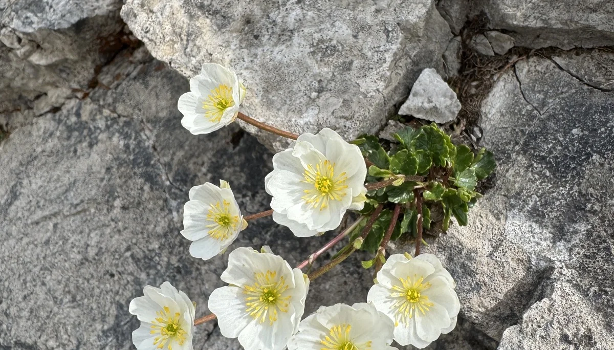 © DAV Tittmoning / Brigitte Thaller