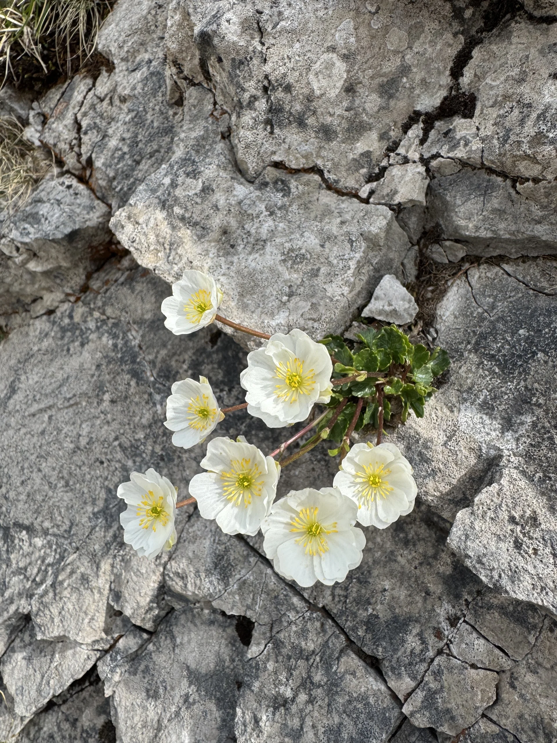 © DAV Tittmoning / Brigitte Thaller