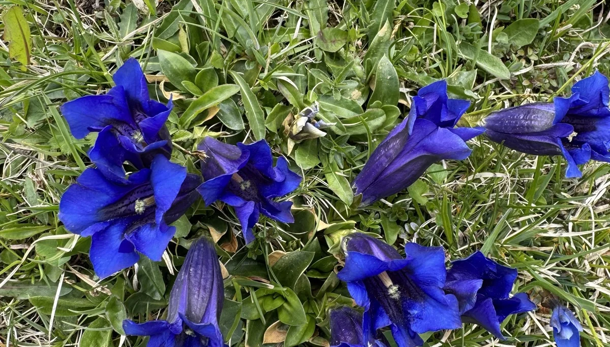 © DAV Tittmoning / Brigitte Thaller