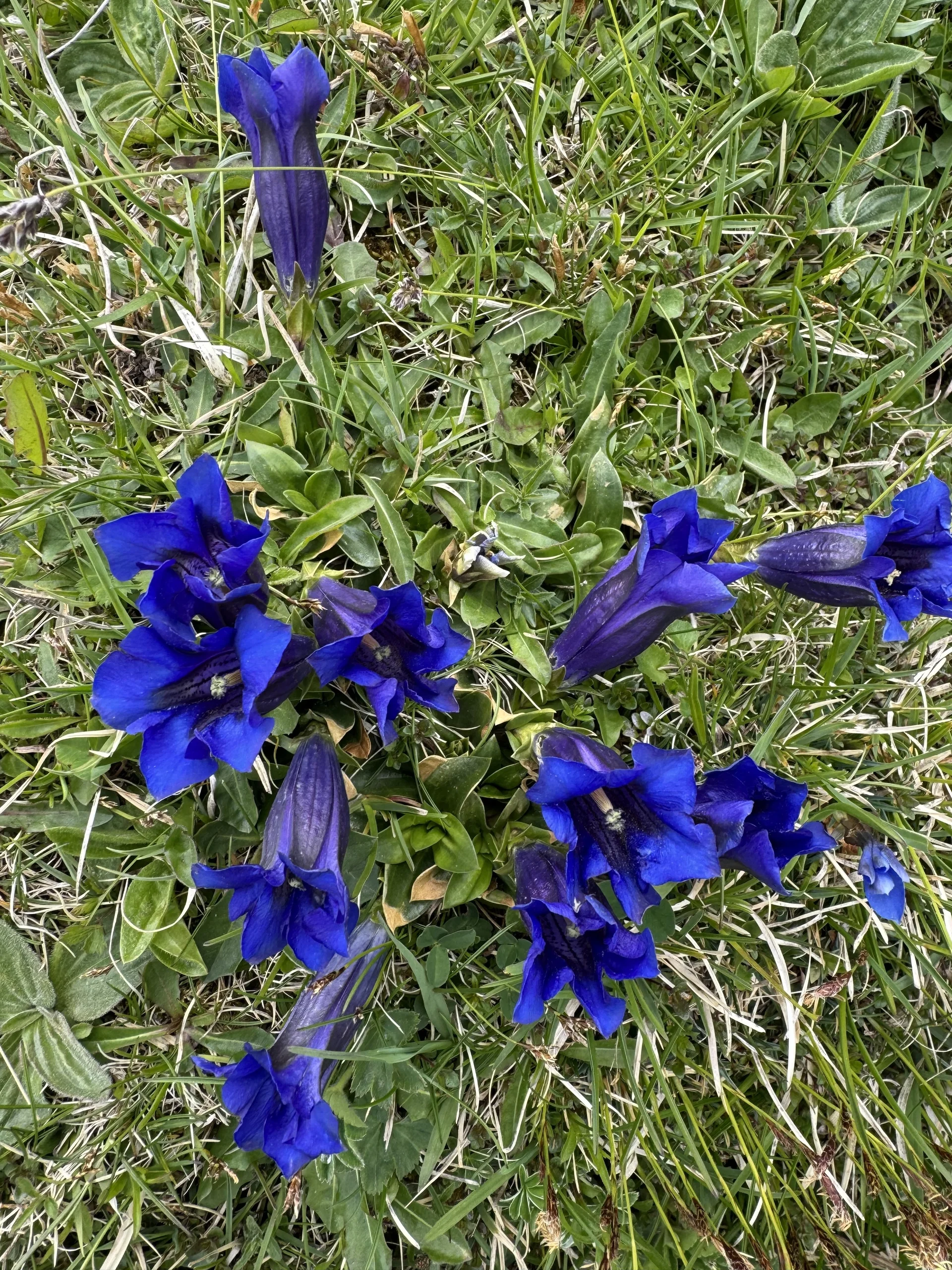 © DAV Tittmoning / Brigitte Thaller