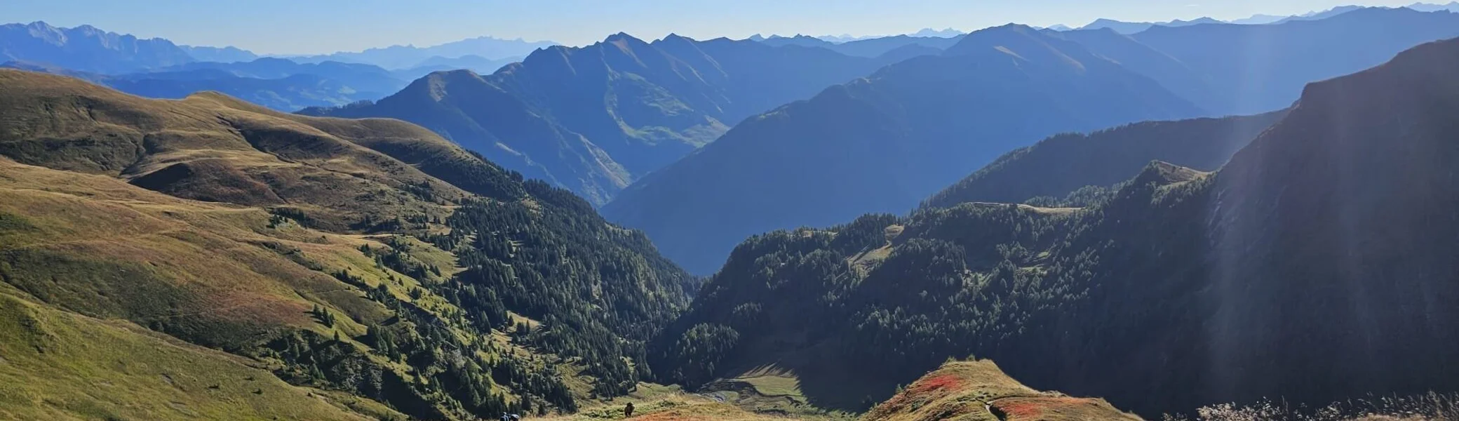 Im Heidelbeerparadies...ein goldener Herbst | © DAV Tittmoning