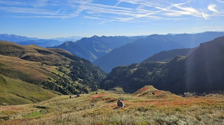 Im Heidelbeerparadies...ein goldener Herbst | © DAV Tittmoning