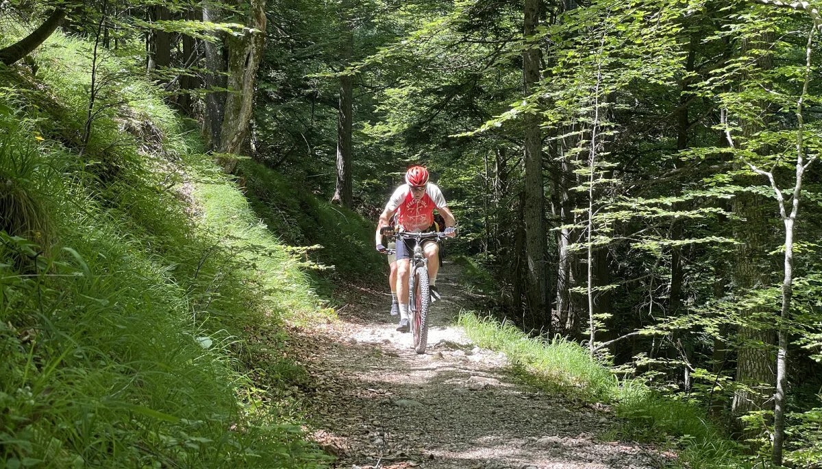 Rund ums Lattengebirge | © Alois Herzig