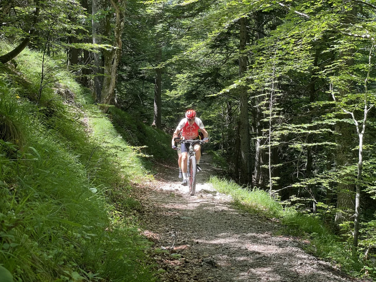 Rund ums Lattengebirge | © Alois Herzig