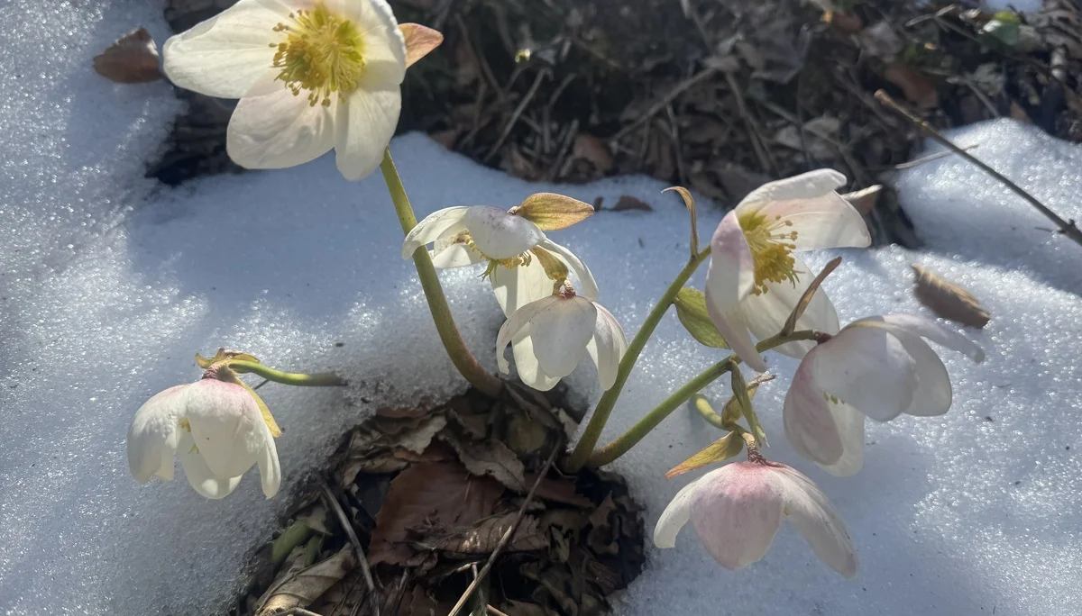 © DAV Tittmoning / Brigitte Thaller