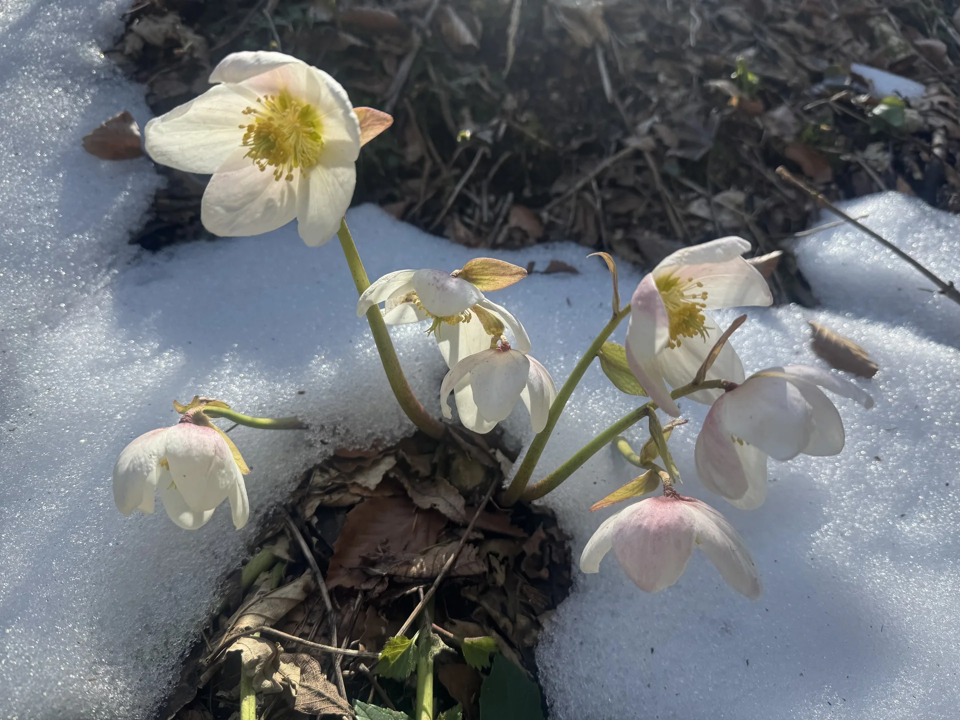 © DAV Tittmoning / Brigitte Thaller