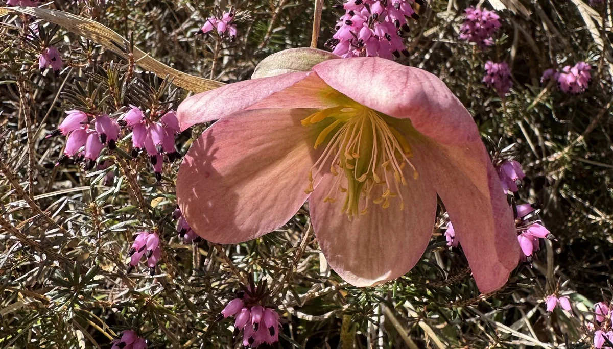 © DAV Tittmoning / Brigitte Thaller