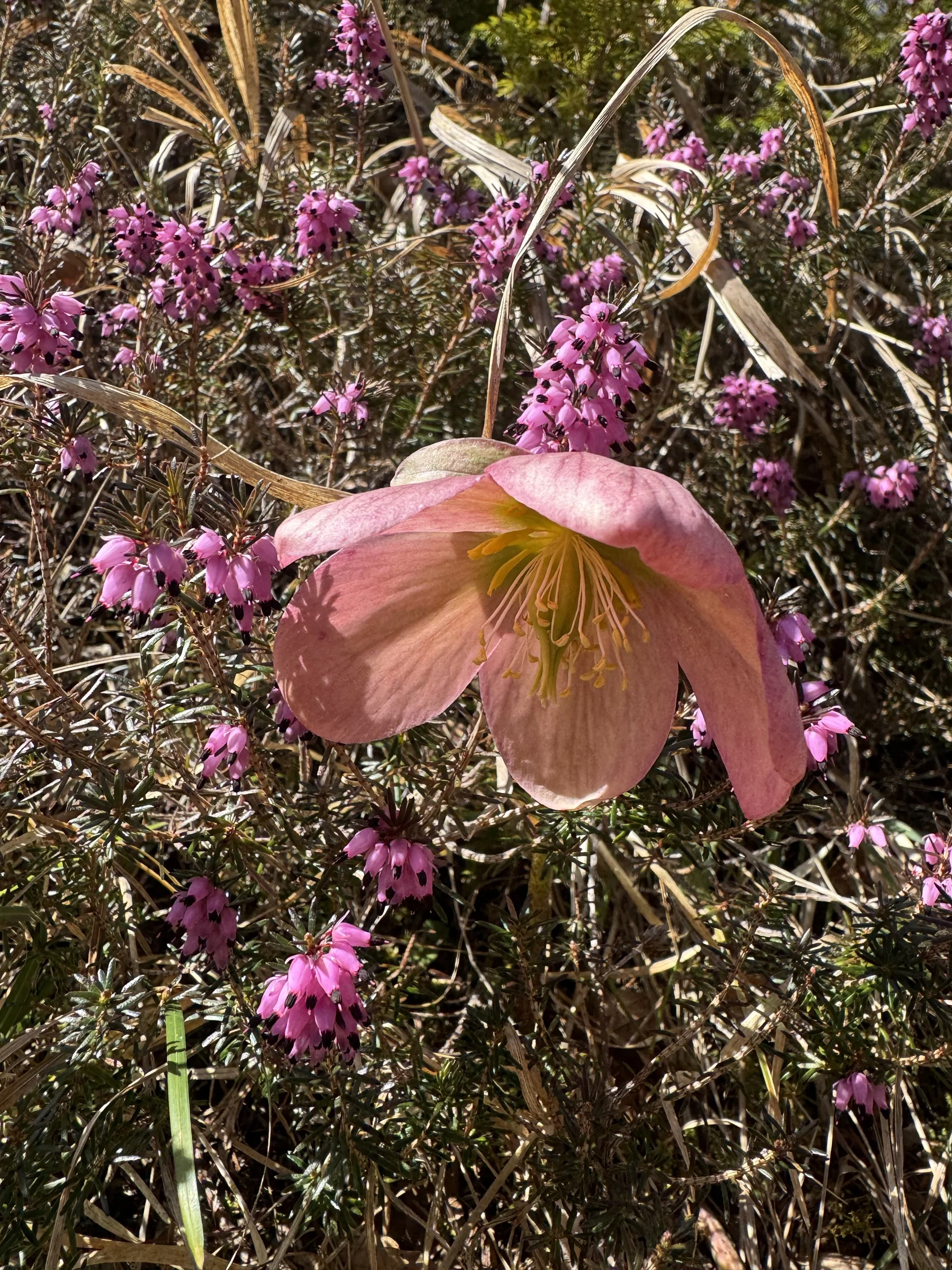 © DAV Tittmoning / Brigitte Thaller