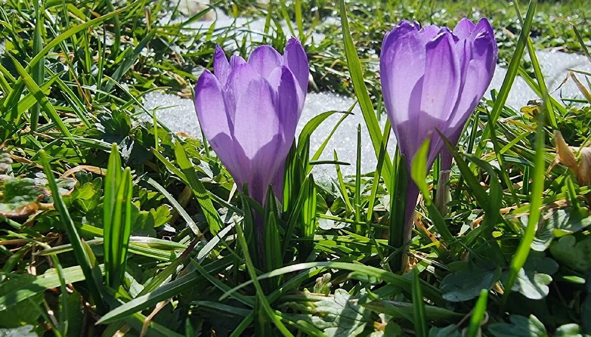 © DAV Tittmoning / Rita Kramhöller