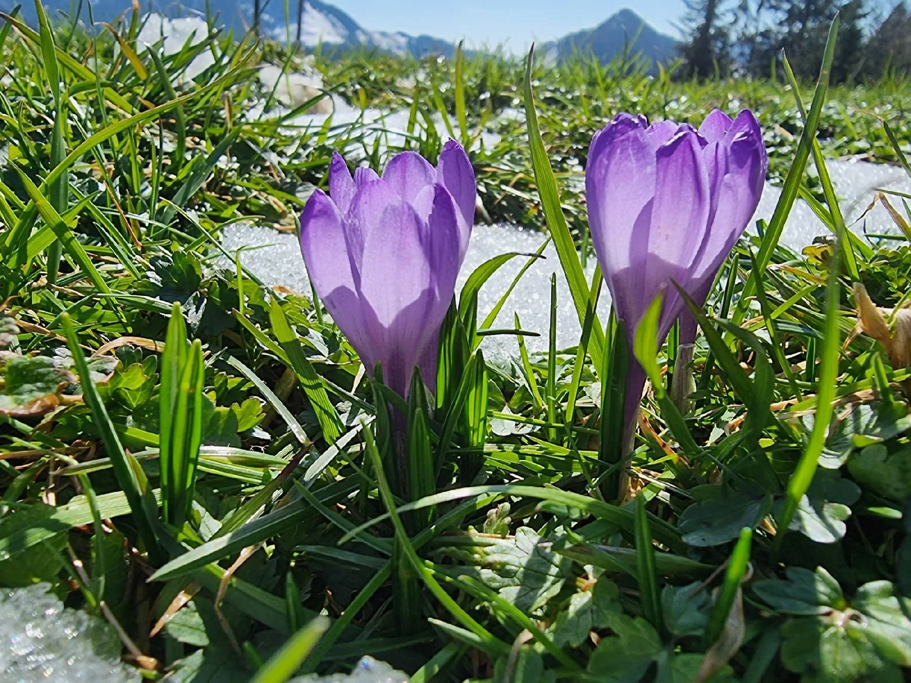 © DAV Tittmoning / Rita Kramhöller