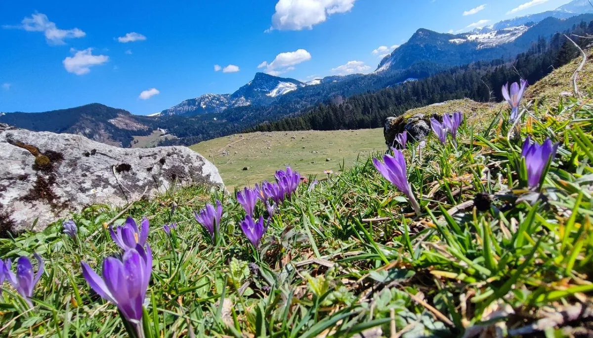 © DAV Tittmoning / Rita Kramhöller