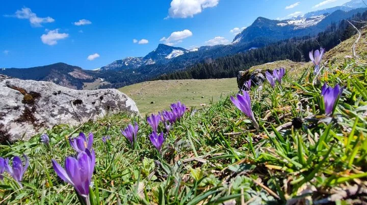 © DAV Tittmoning / Rita Kramhöller