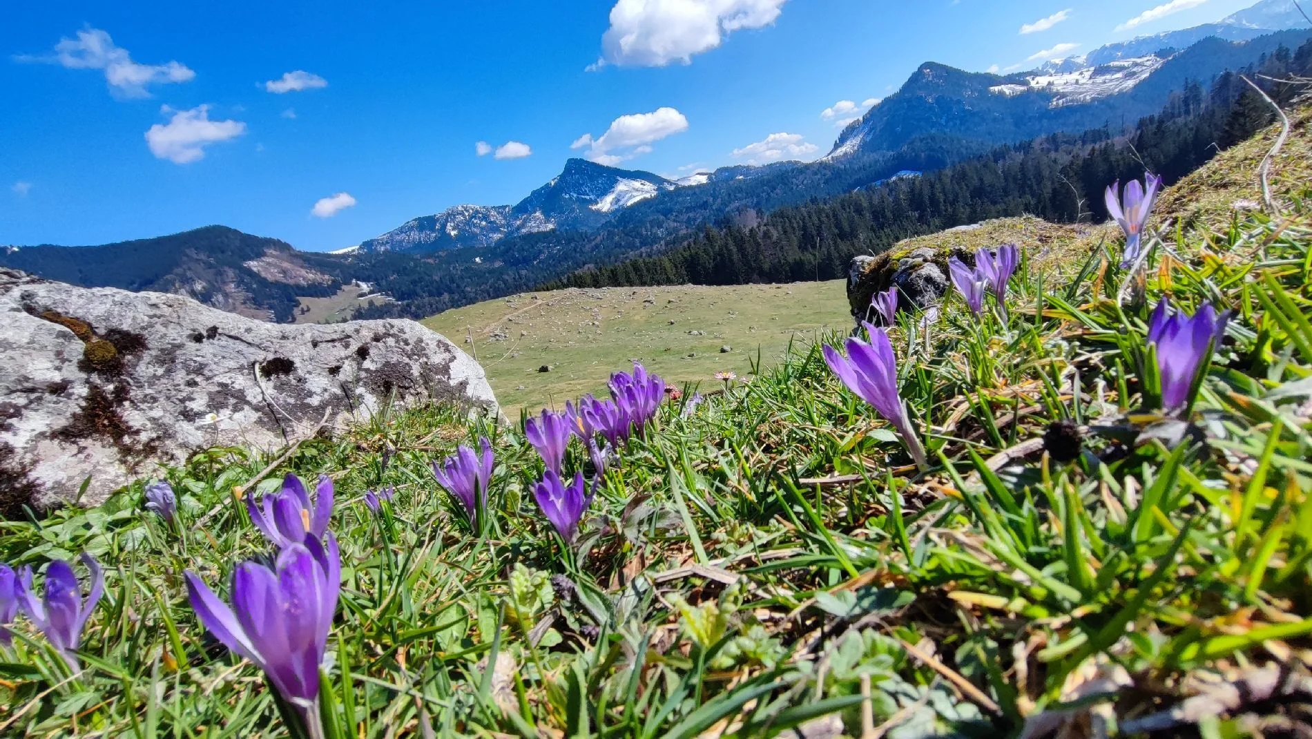 © DAV Tittmoning / Rita Kramhöller