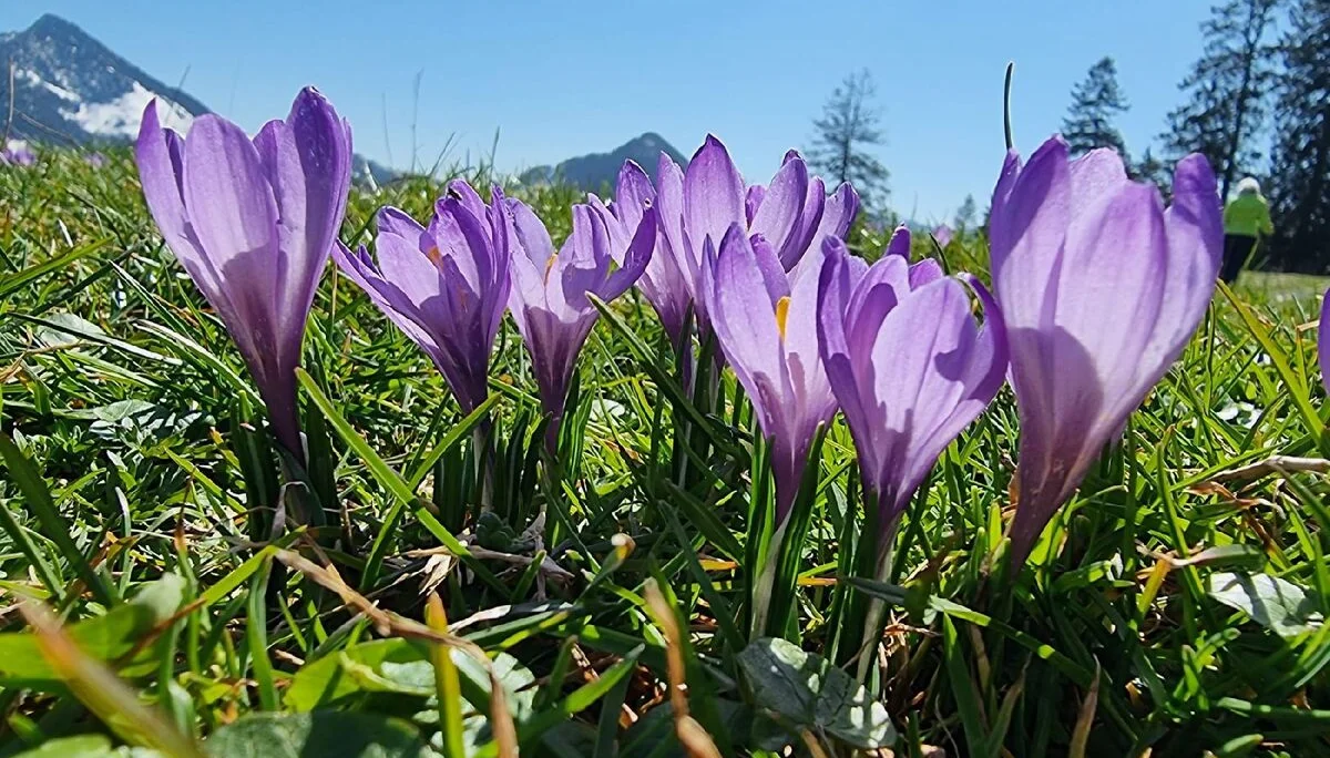 © DAV Tittmoning / Rita Kramhöller