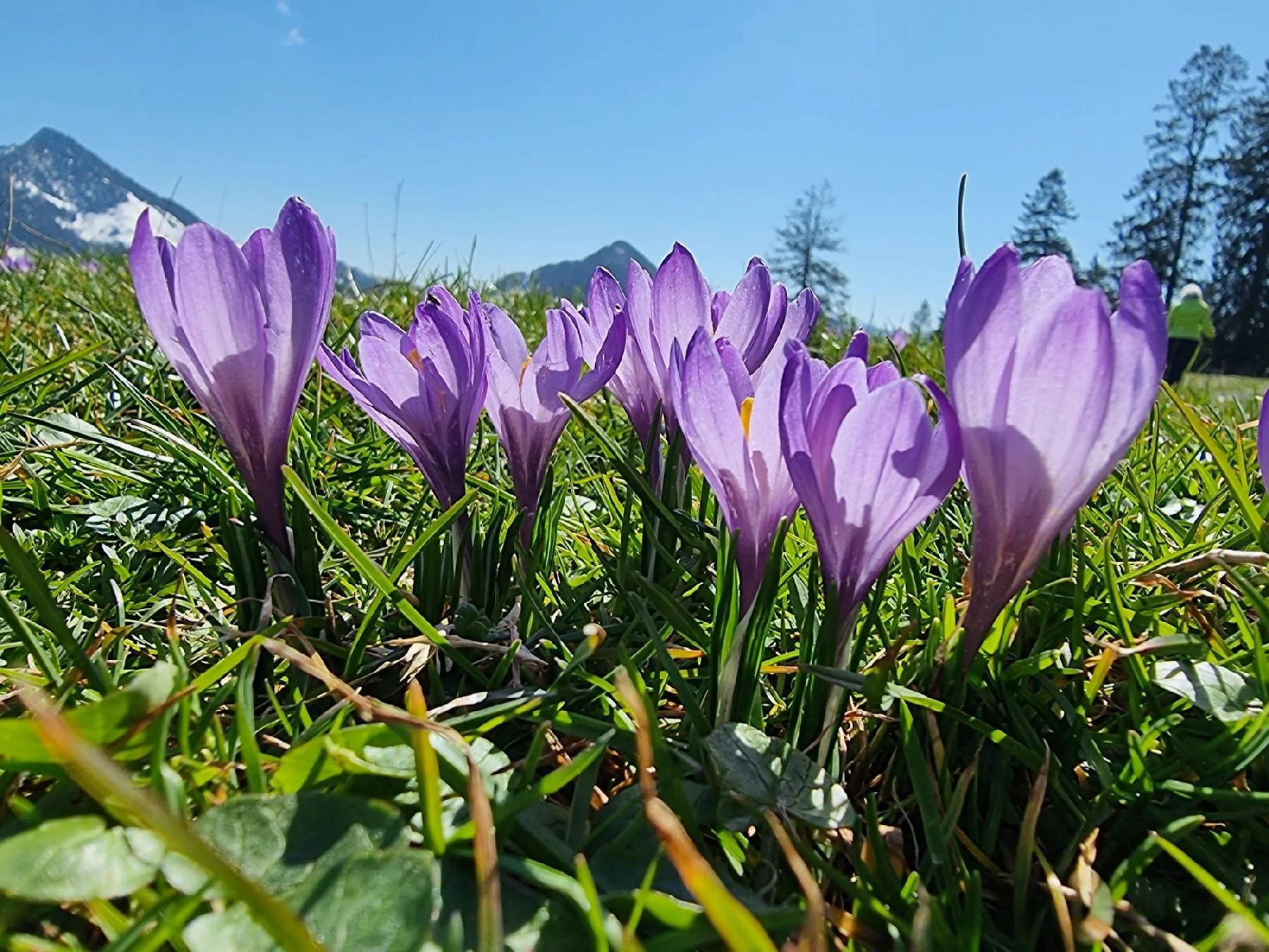 © DAV Tittmoning / Rita Kramhöller