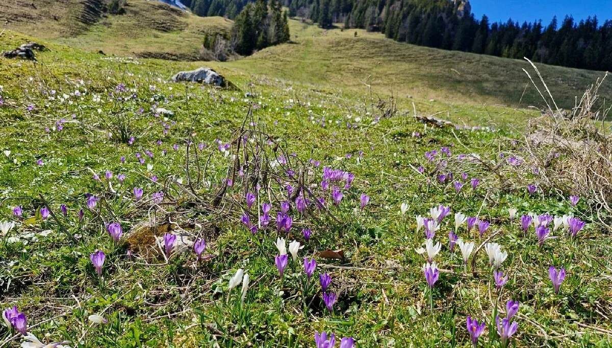 © DAV Tittmoning / Rita Kramhöller