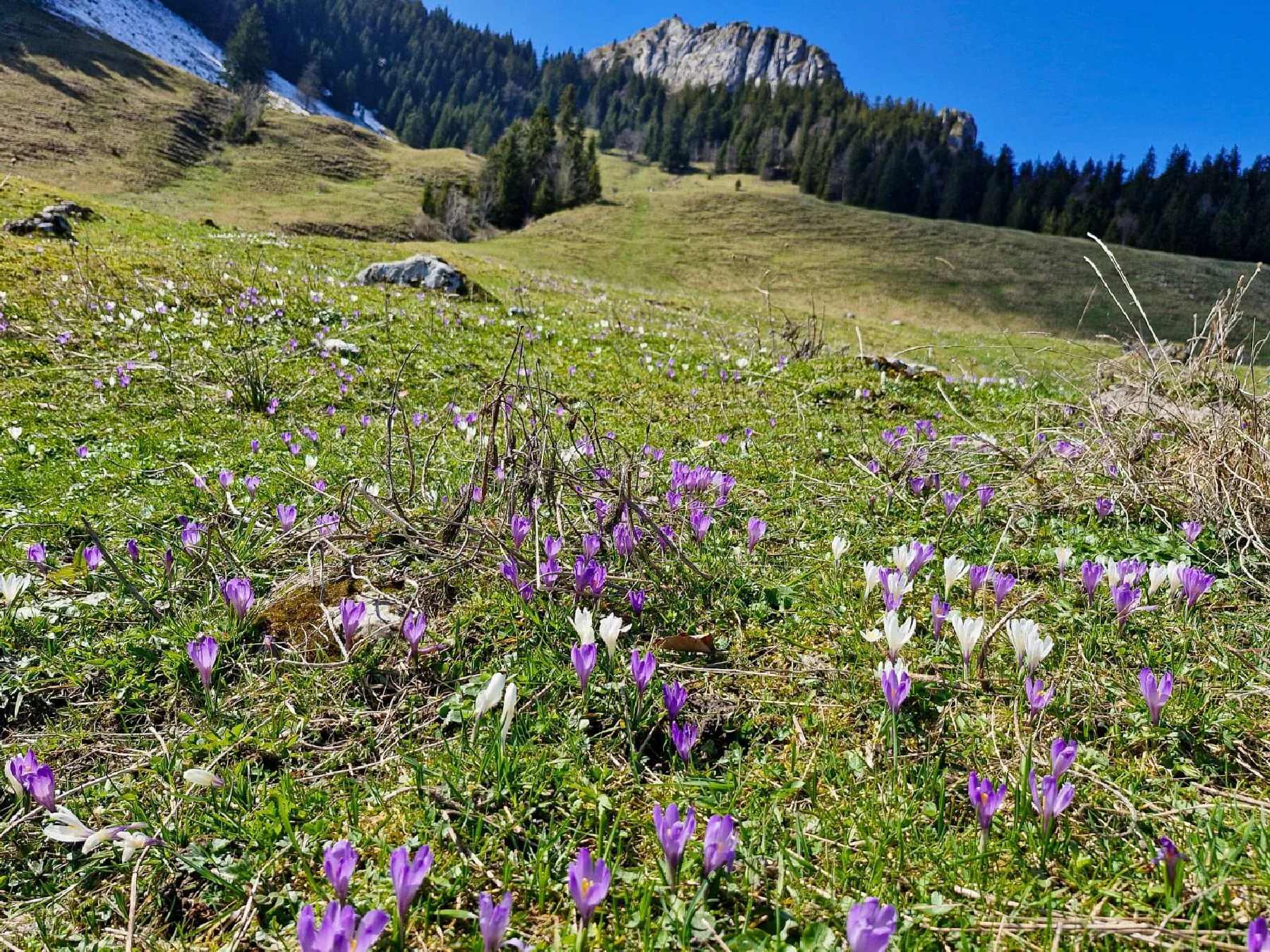 © DAV Tittmoning / Rita Kramhöller