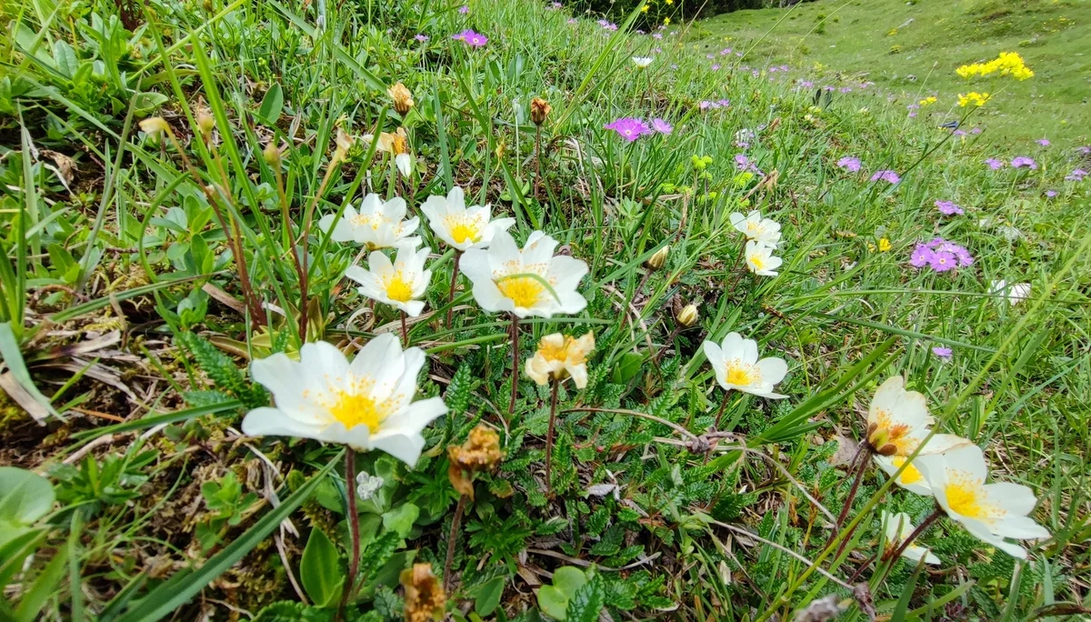 © DAV Tittmoning / Rita Kramhöller