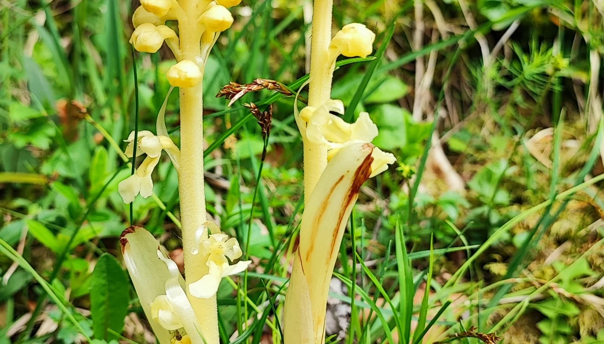 © DAV Tittmoning / Rita Kramhöller