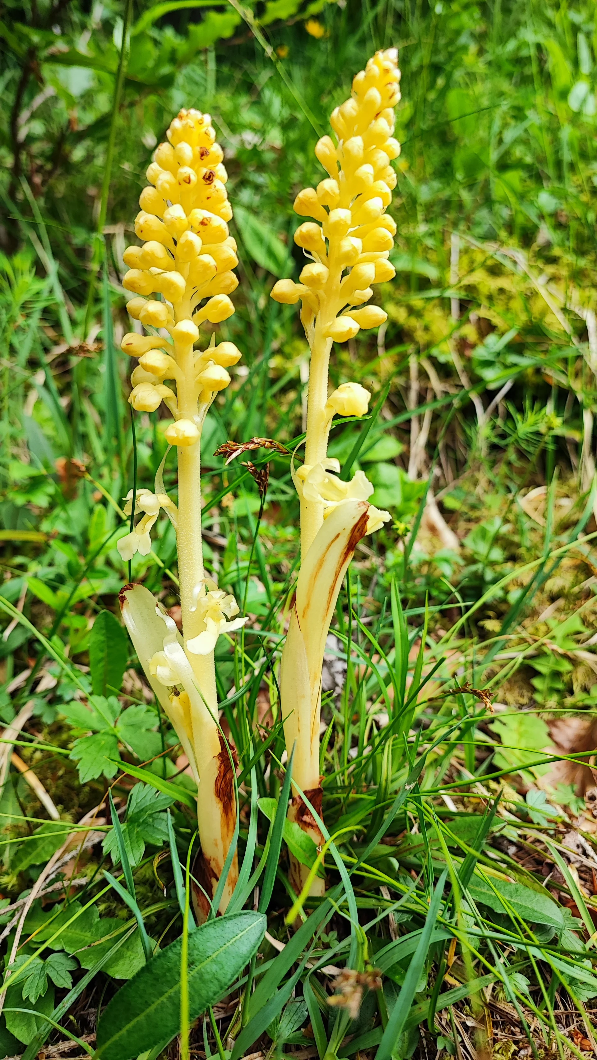 © DAV Tittmoning / Rita Kramhöller