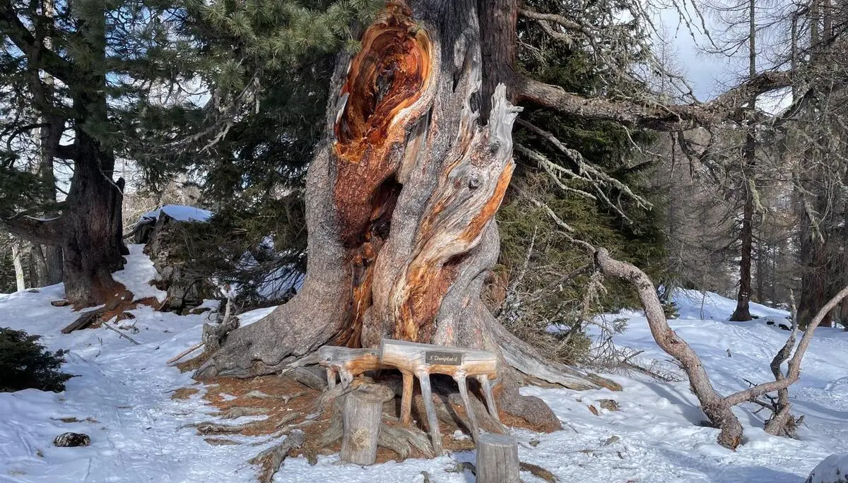 © DAV Tittmoning / Andi Mitterer