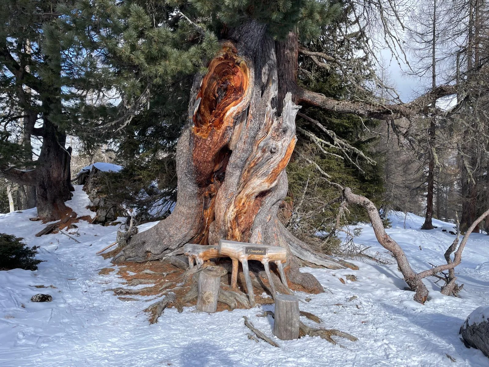 © DAV Tittmoning / Andi Mitterer