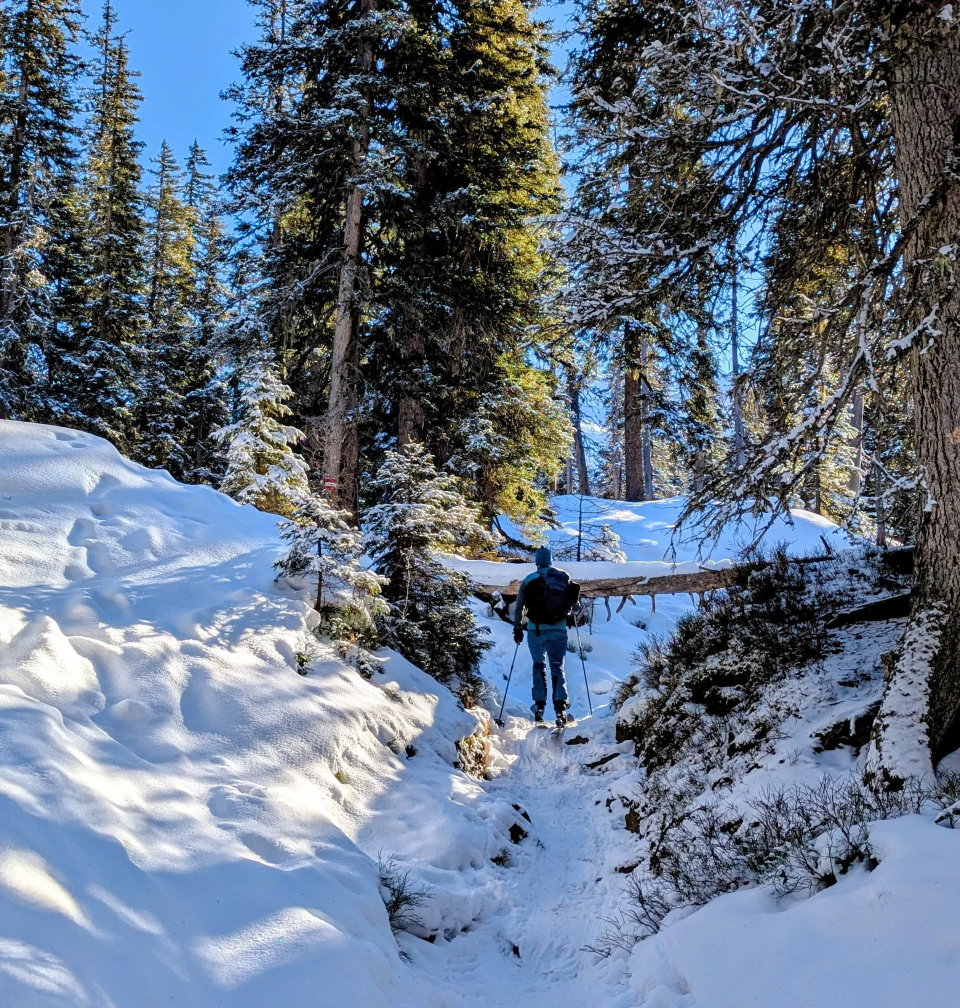 © DAV Tittmoning / Andi Mitterer