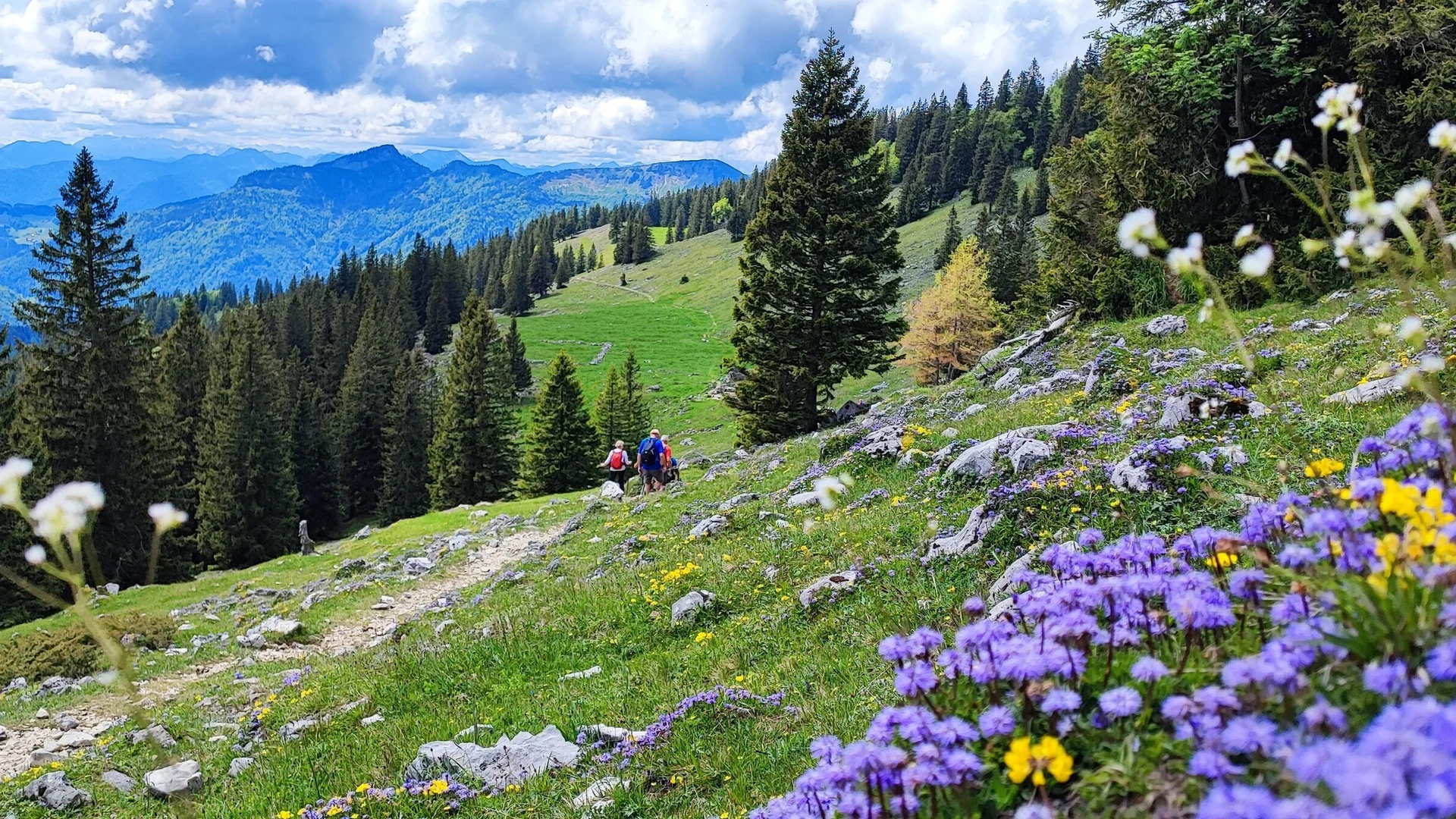 © DAV Tittmoning - Rita Kramhöller