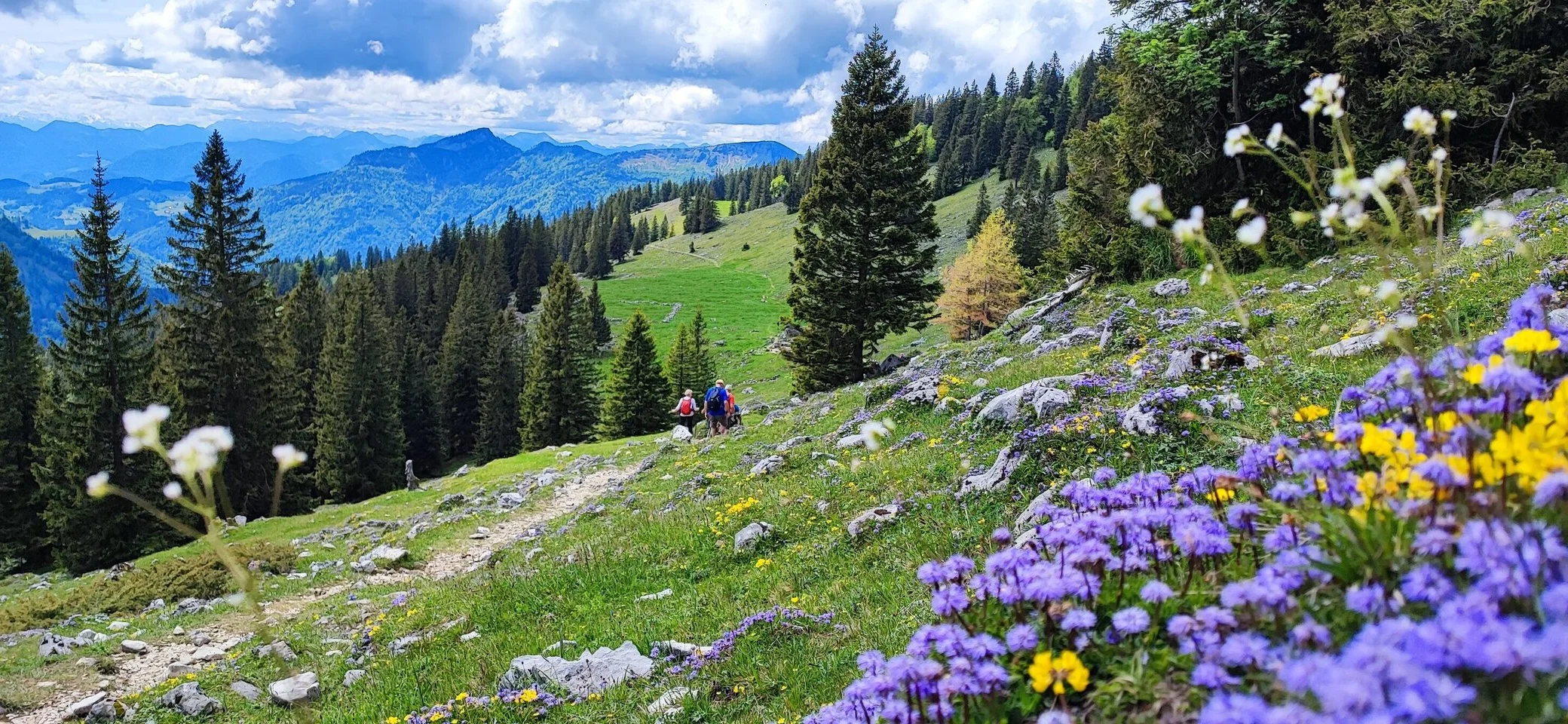 © DAV Tittmoning - Rita Kramhöller